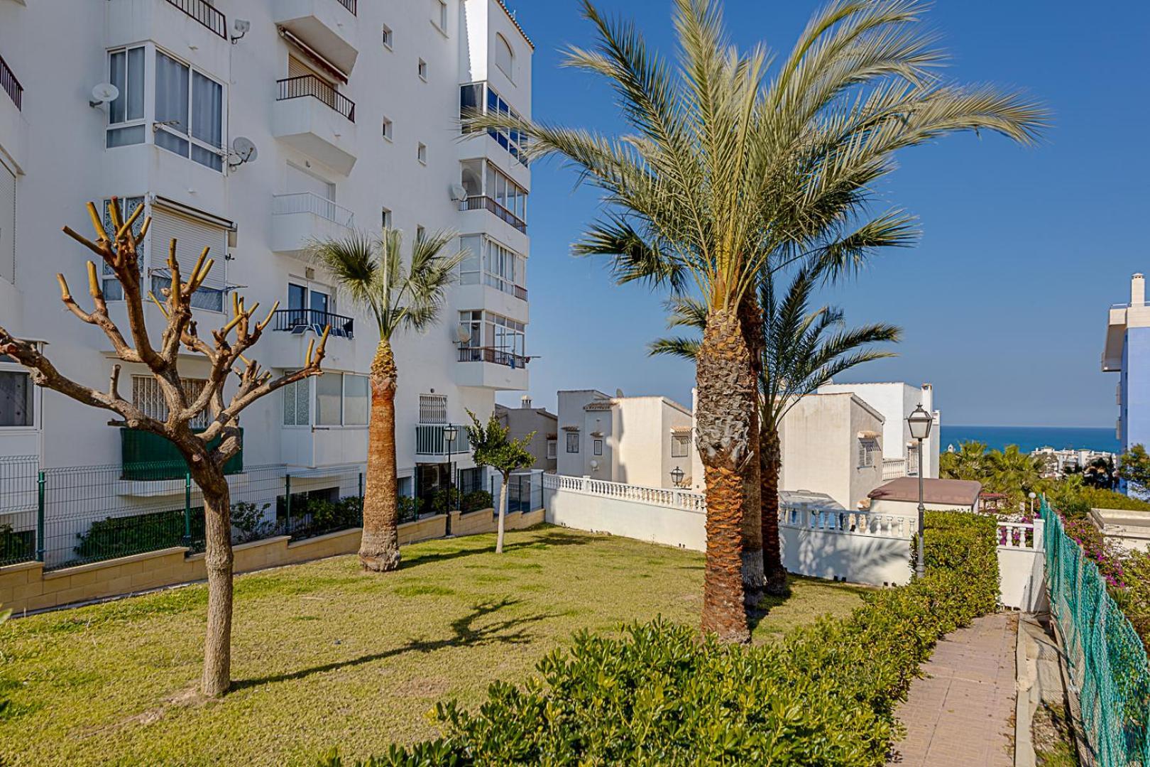 Estudio Jardin Del Mar Торевиеха Екстериор снимка