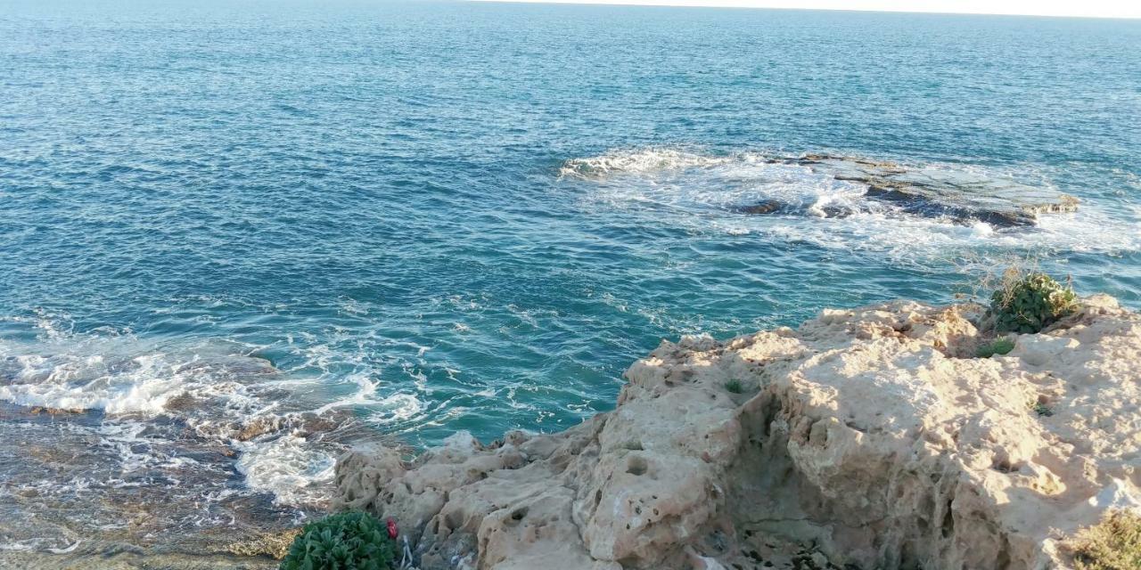 Estudio Jardin Del Mar Торевиеха Екстериор снимка
